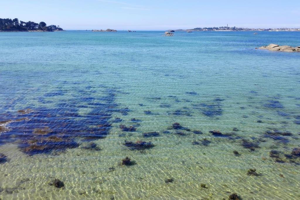 Roscoff 2 Pieces Classe 2 Etoiles Et Terrasse Centre Historique Luaran gambar