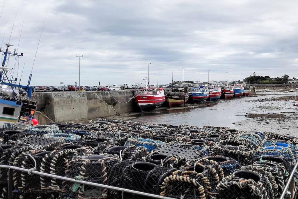Roscoff 2 Pieces Classe 2 Etoiles Et Terrasse Centre Historique Luaran gambar